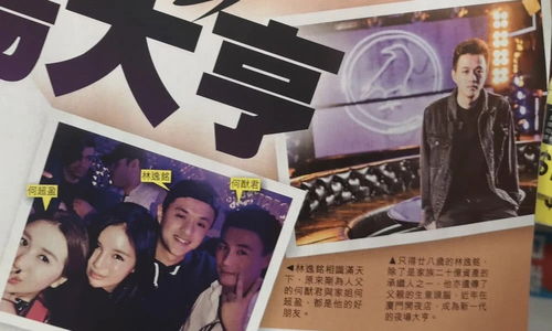 新首富继承人短剧在线观看平台--第1张