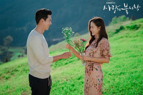 爱在黎明前降落短剧免费观看平台--第1张