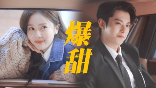 在他深情中陨落短剧免费观看平台推荐--第1张
