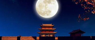白月光攻略番外 白月光攻略手册马秋元短剧观看平台--第1张