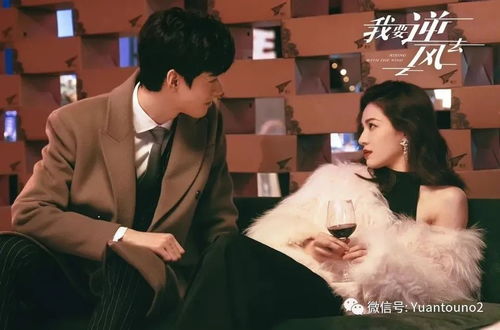 十八年后重逢，再续前缘短剧，感人至深的爱情故事及观看平台推荐--第1张