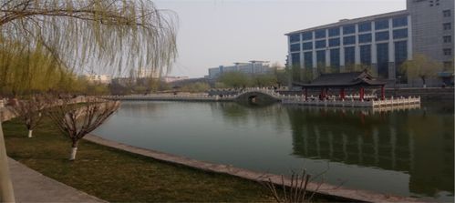 近在咫尺的爱短剧观看平台 近在咫尺的爱短剧观看平台在线--第1张