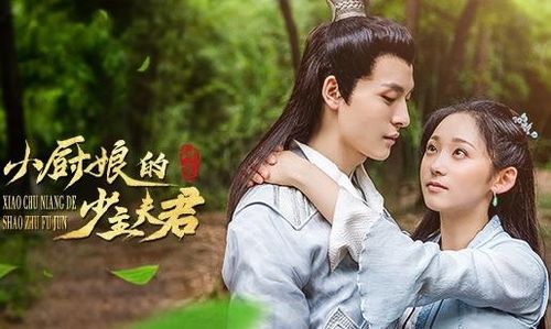 小厨娘的少主夫君短剧观看平台 小厨娘的少主夫君，短剧新风尚，精彩尽在观看平台--第1张