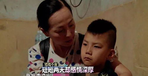 豪门傻少爷短剧观看平台 豪门傻婿刚刚更新章节--第1张