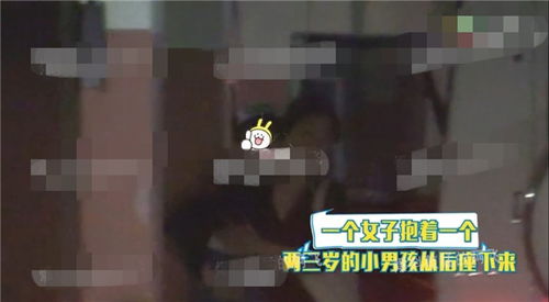 历总追疯，她带崽回国--第1张
