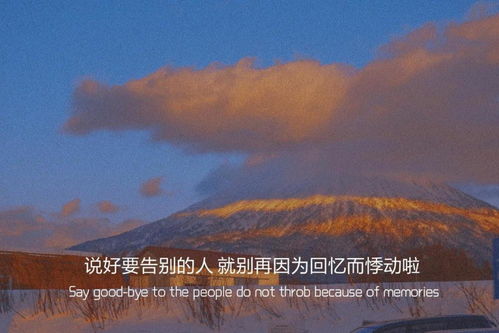 嫁给前任他小叔后被宠上天短剧观看平台下载 嫁给前任他小叔后被宠上天--第1张