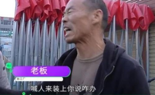 踹掉渣男总裁后，三个哥哥团宠我短剧在哪个平台看--第1张