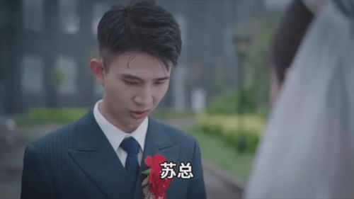 龙王赘婿朱亚文大结局_龙王赘婿朱亚文大结局是什么--第1张