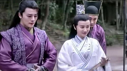 废材太子绝地反击完整短剧观看平台，废柴太子妃--第1张