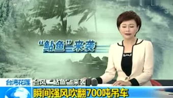 圣子狂龙短剧观看平台免费版--第1张