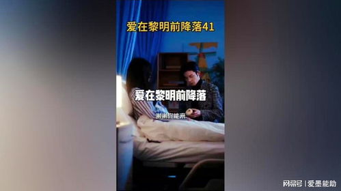 爱在黎明前降落短剧免费观看平台--第1张