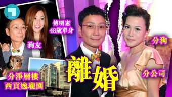 大佬别跑闪个婚短剧观看平台免费 大佬别跑，闪个婚短剧观看平台--第1张
