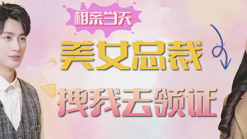 次相亲千亿总裁拉我去领证短剧观看平台 1001次相亲--第1张