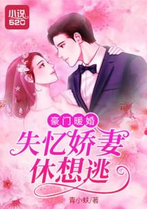 傅少的暖婚娇妻短剧观看平台--第1张