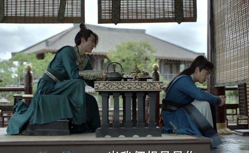 抓个皇子来降温，免费阅读短剧--第1张