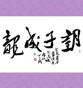 望子成龙合短剧观看平台 望子成龙电视剧百度百科--第1张