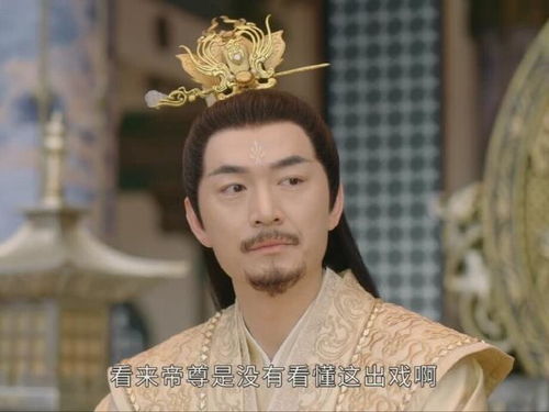 天骄女婿，帝尊，上门女婿！--第1张