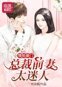 前妻的诱惑短剧在线观看平台--第1张