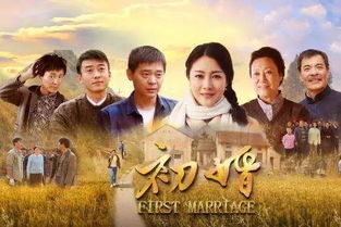 初婚有刺短剧观看平台 初婚有刺电视剧全集--第1张