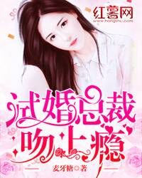 试婚总裁，宠到底或试婚总裁，玩命要娶我--第1张
