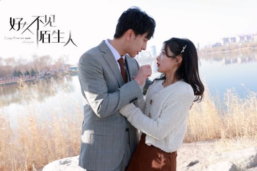 厉总的新婚罪妻短剧观看平台 电视剧厉总--第1张