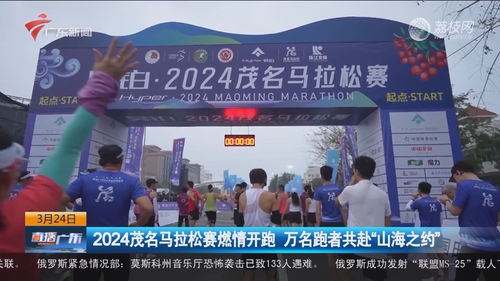 龙门短剧免费观看平台有哪些--第1张