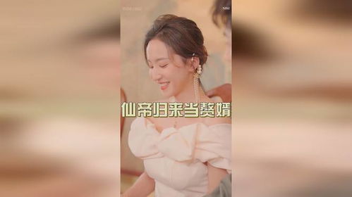 仙帝归来，赘婿称霸都市--第1张