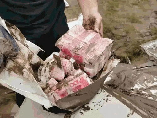 逆子有些什么表现 逆子你怎么知道家里很有钱短剧观看平台--第1张