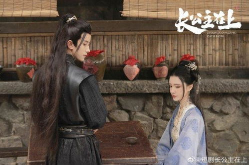 新版长公主在上短剧观看平台有哪些?电视剧长公主简介--第1张
