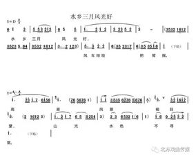 一见君来误此生短剧观看平台 一见君王来赔情曲谱--第1张