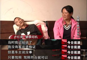 纪总大佬夫人下山，崔秀子短剧观看平台，纪总的猫全文免费阅读--第1张