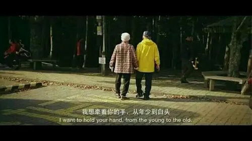 爱你从未是救赎，免费观看平台--第1张