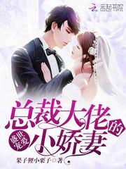 离婚后我竟是首富前夫的隐藏大佬--第1张