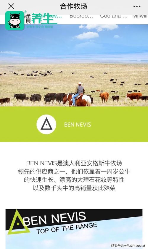 养敌为患全集视频的短剧观看平台推荐。--第1张