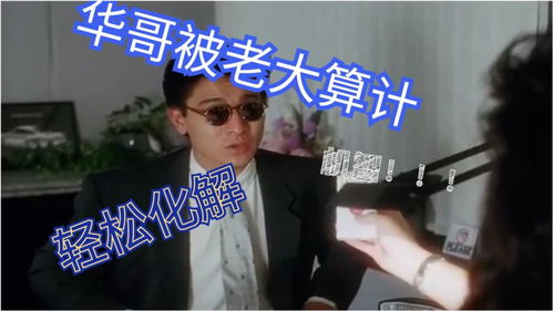 四个大佬哥哥重生以后狂宠我短剧观看平台在线 四个大佬哥哥重生以后狂宠我--第1张