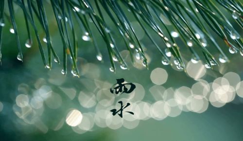 春雨无声短剧免费观看平台之一--第1张
