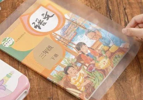 成仙在即，婚书秘闻--第1张