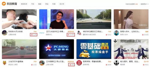 这世界有人爱你短剧观看平台免费 这世界有人爱你短剧观看平台--第1张