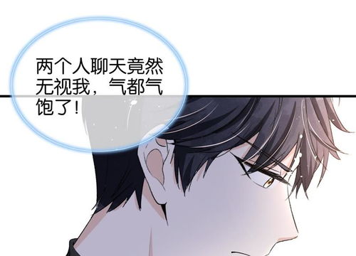 契约妻，罪妻休想逃--第1张