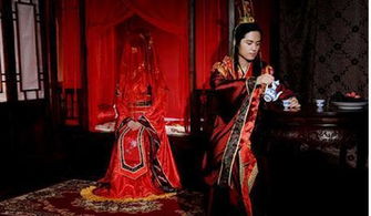 我在古代席卷天下穿越剧短剧观看平台 我在古代免费观看--第1张