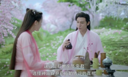 一见君来误此生短剧观看平台 一见君如故--第1张