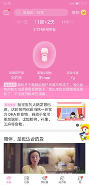 免费看对不起我爱你短剧的平台--第1张