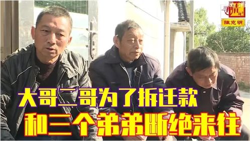 三个大佬哥哥在线观看平台--第1张