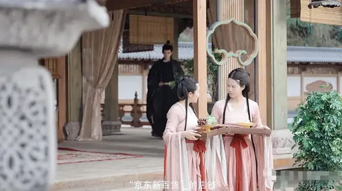 贵妃娘娘当网红短剧观看平台，贵妃娘娘百度百科，一览网剧魅力！--第1张