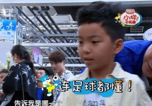 大鳄的小儿子短剧免费观看平台--第1张