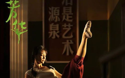 免费观看乱世芳华的短剧平台，绝美芳华在线--第1张