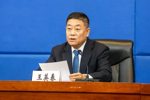 神龙孟青短剧在线观看平台，免费观看神龙孟青短剧的平台--第1张