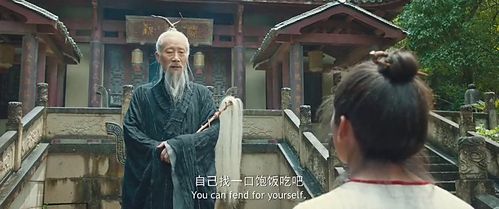 下山成亲，短剧版师傅的嘱托--第1张