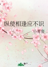 纵使相逢应不识，错爱成殇--第1张