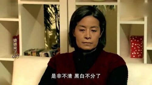 霸道总裁的小姨，我的小姨--第1张